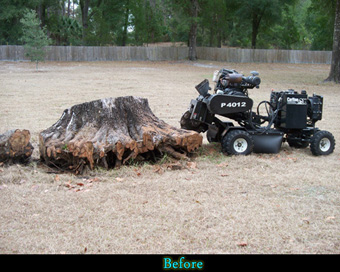 COMLY’S STUMP GRINDING; before and after photos